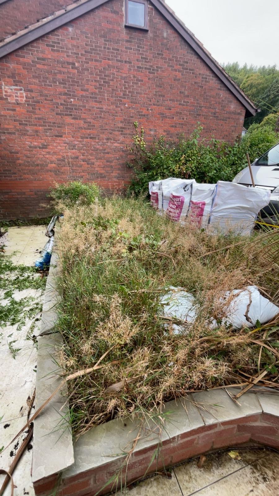 Garden clearance — overgrown area